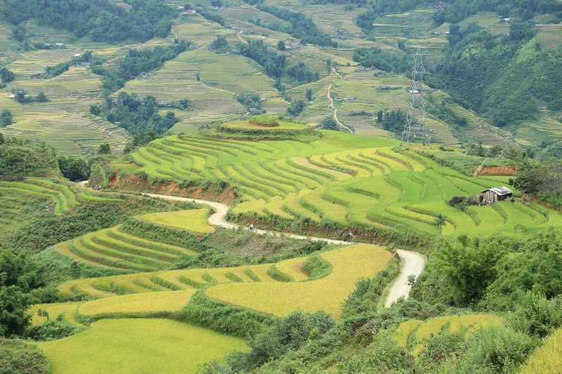 Con đường đất uốn lượn giữa những ruộng bậc thang xanh mướt trong thung lũng gần Sapa, Y Tý.