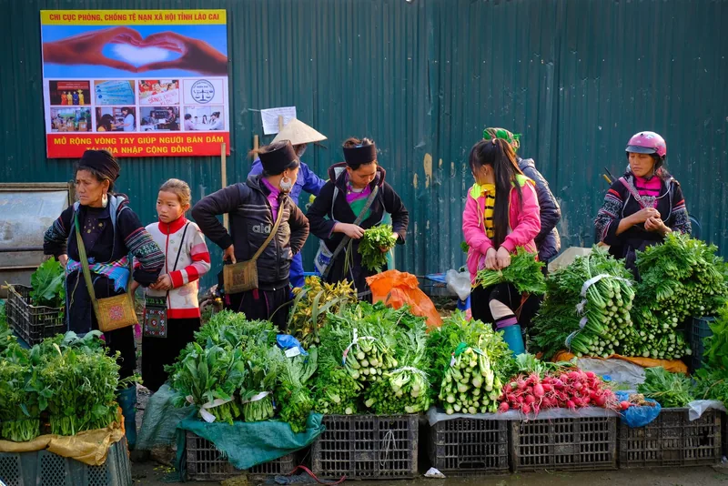 Phụ nữ và trẻ em người Mông trong trang phục truyền thống bán rau xanh tại một chợ ở Sa Pa, Lào Cai.