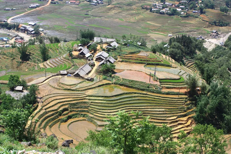Những ruộng bậc thang uốn lượn quanh một bản làng nhỏ trong thung lũng gần Sa Pa, Lào Cai.