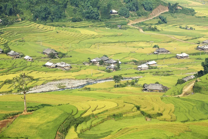 Ruộng bậc thang và bản làng rải rác bên dòng suối uốn lượn ở Mù Cang Chải, Yên Bái.