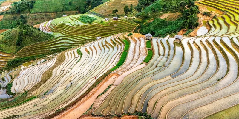 Toàn cảnh trên cao những ruộng bậc thang ngập nước uốn lượn trên sườn đồi Mù Cang Chải, Việt Nam.