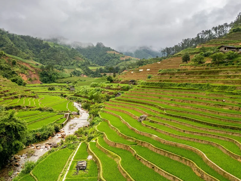 Ruộng bậc thang xanh mướt trải dài theo thung lũng có suối nhỏ và núi mờ sương ở Mù Cang Chải.