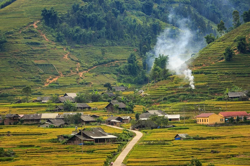 Một bản làng nhà gỗ nằm giữa ruộng bậc thang lúa chín và làn khói bốc lên gần Sapa.