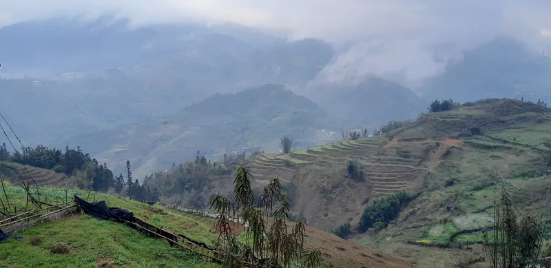 Những ruộng bậc thang và núi mờ sương gần bản Tả Van, ngoại ô Sa Pa.